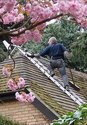 Roof in Weybridge having jet wash cleaning